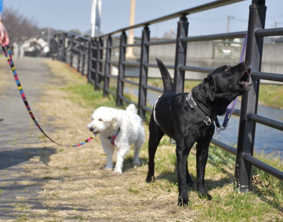 自然が豊な環境